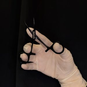 Kleszcze krótkie mosquito